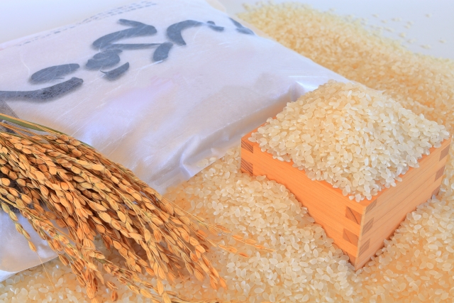 koshihikari_10kg